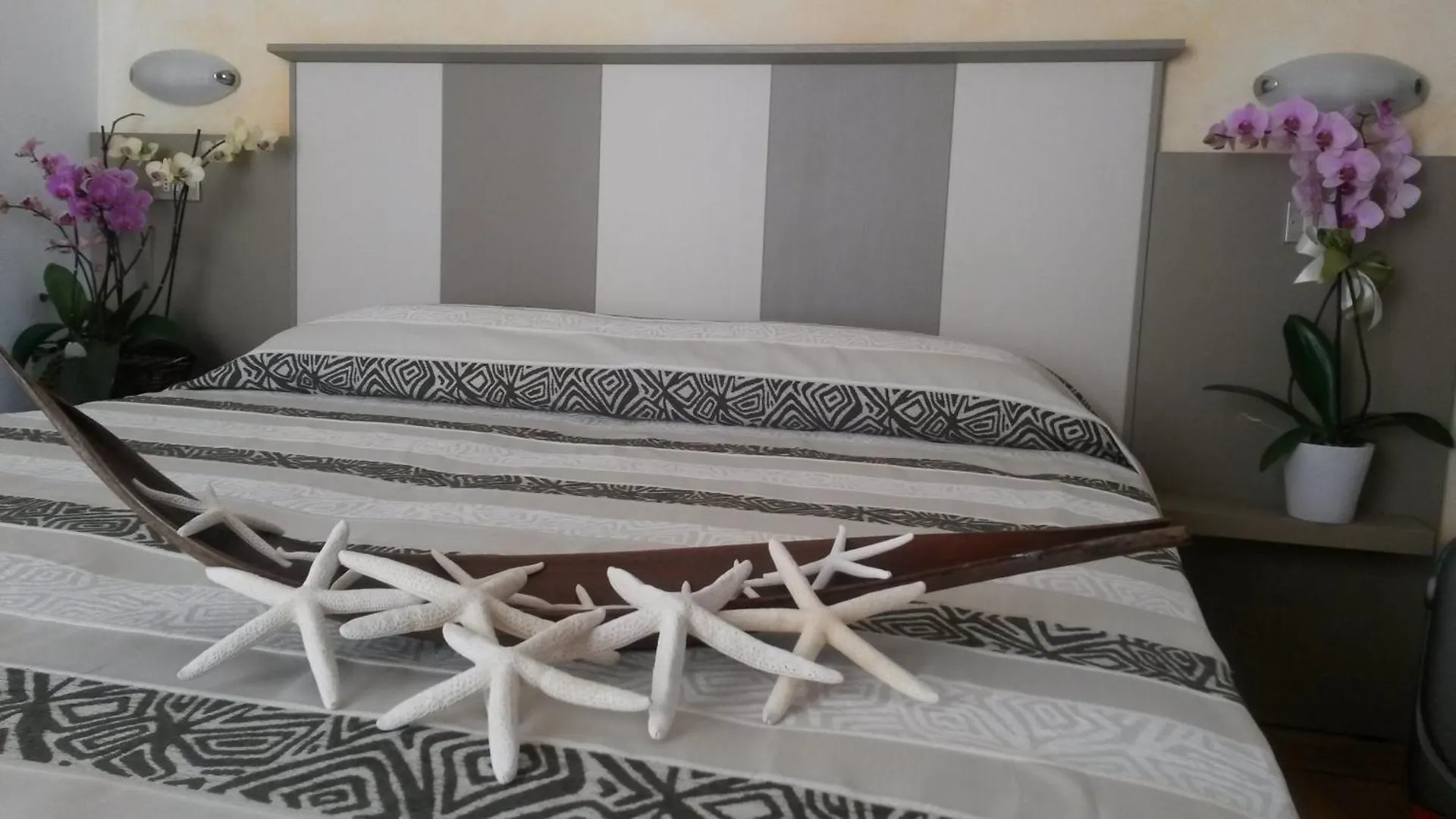 Hotel Camelia Rimini Italy